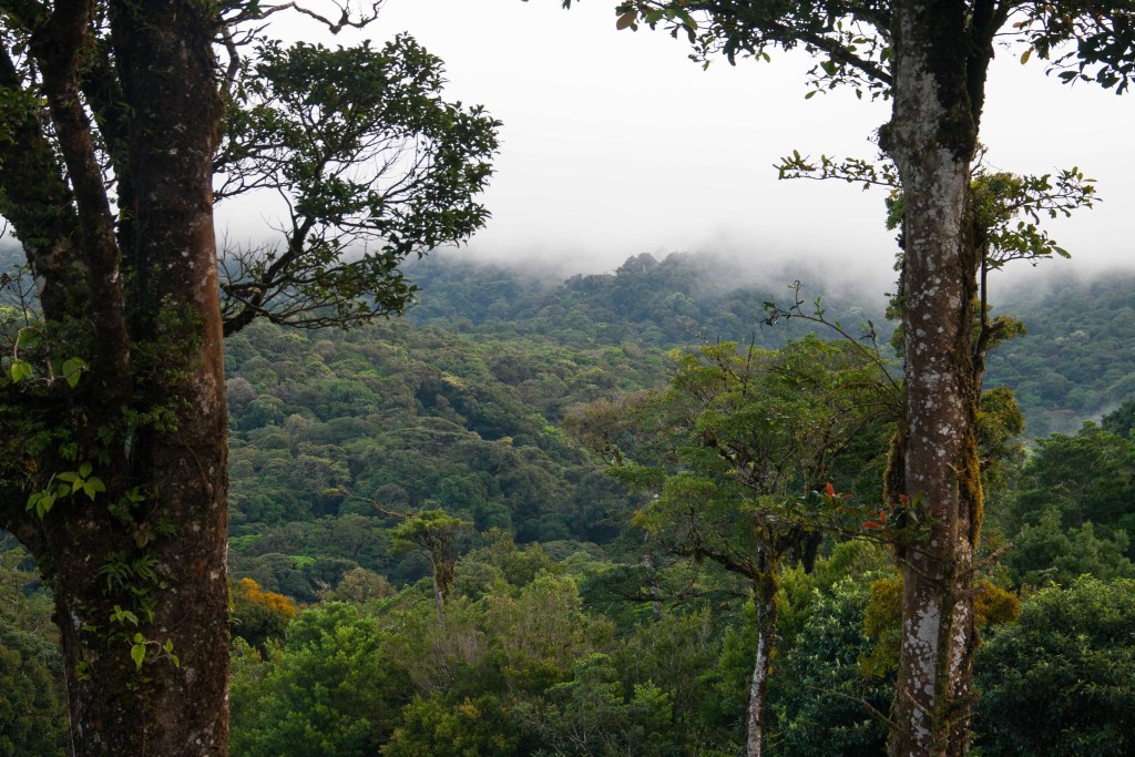 Costa Rica-Monteverde-nationaal park