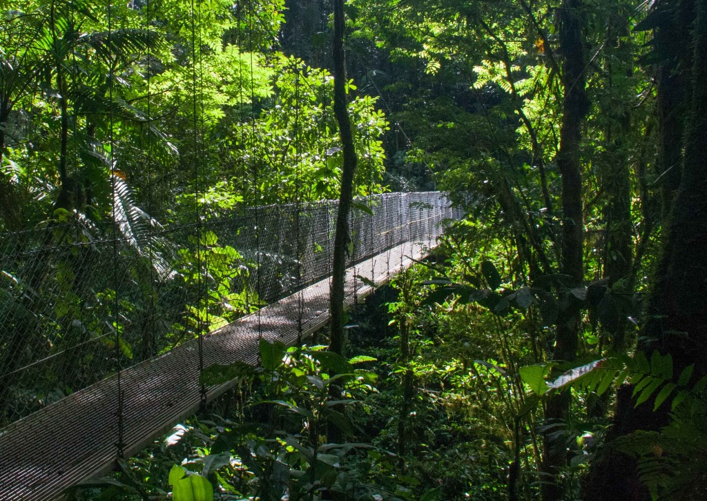 Costa Rica-Hangende bruggen-La Fortuna