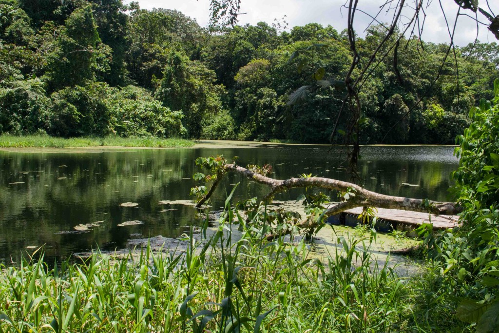 Costa Rica-El Arenal-Nationaal Park