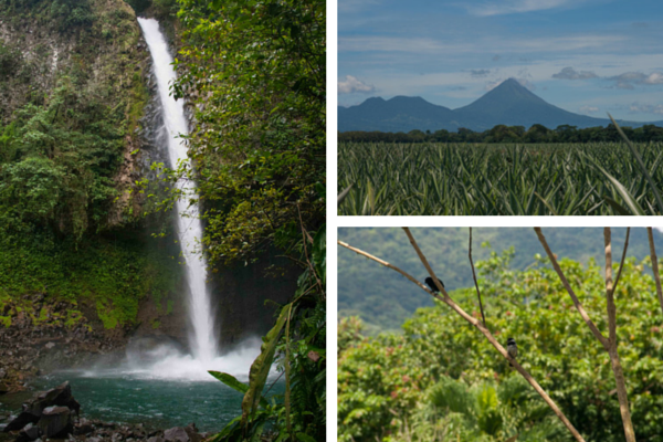 Costa Rica-La Fortuna Waterfalls-El Arenal