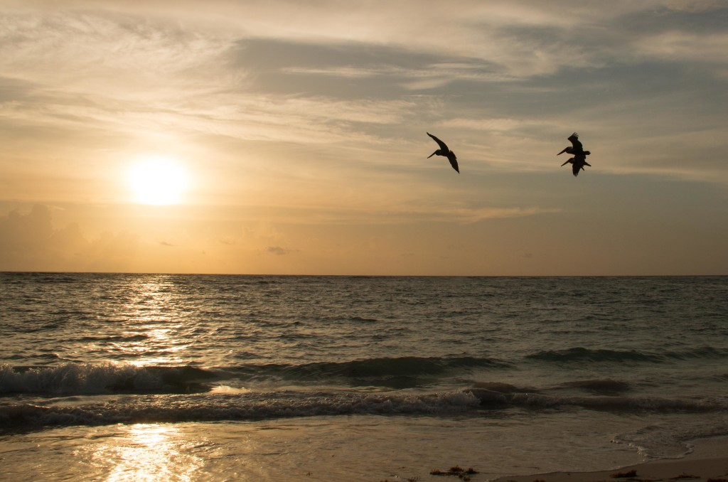 Dominicaanse Republiek-Punta Cana-zonsopgang