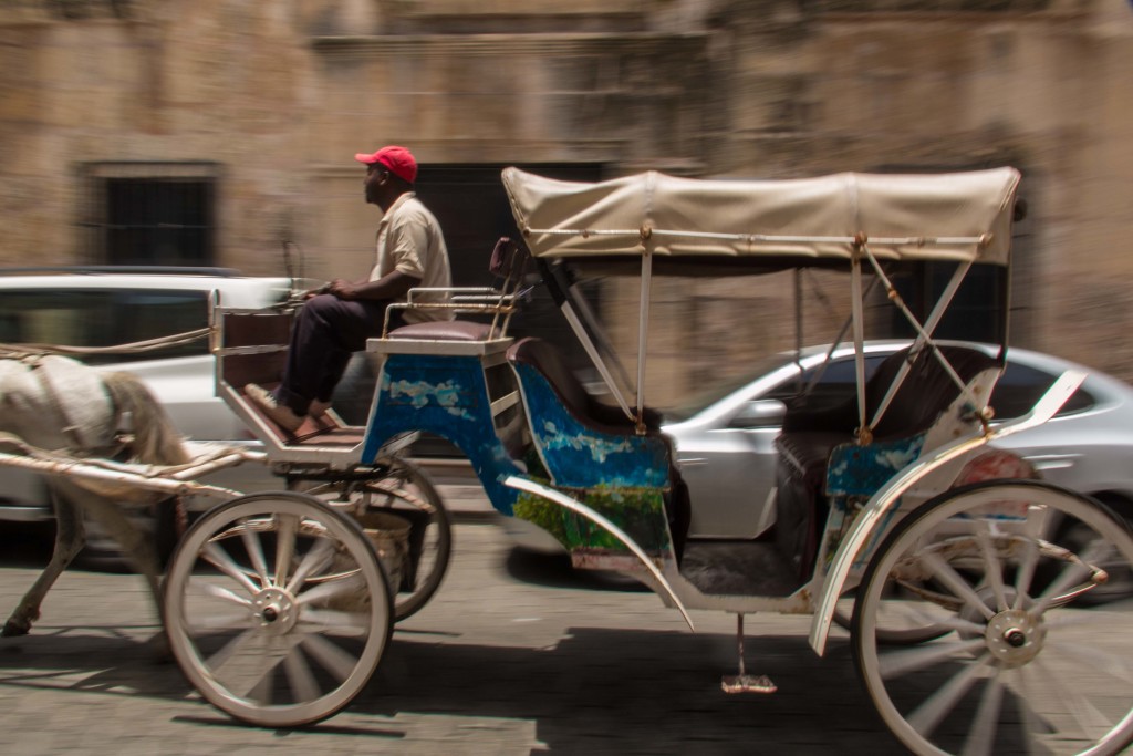 Dominicaanse Republiek-Santo Domingo-hoofdstad-koloniale centrum-paard en wagen