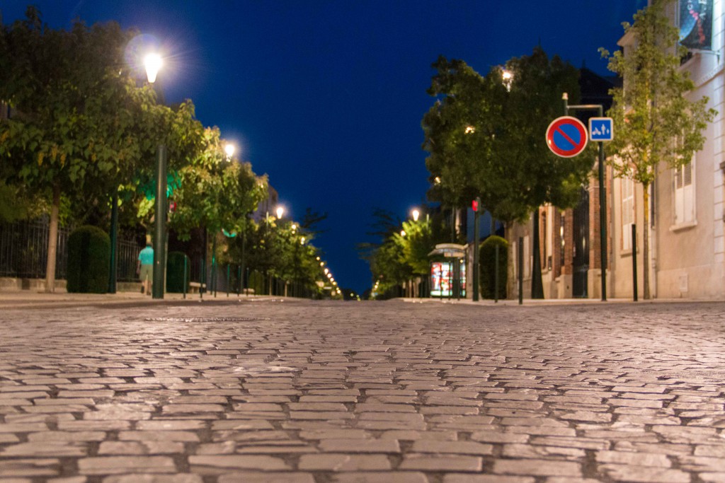 Champagne-Frankrijk-wijngaarden-Epernay-Epernay-Avenue de Champagne