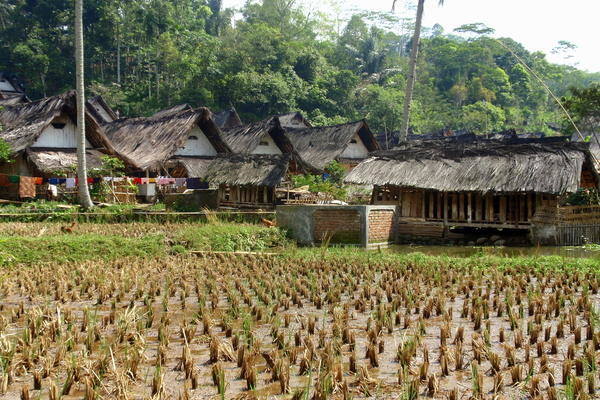 Indonesie-Java-lokaal dorp