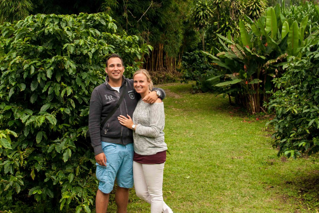 Costa Rica-Monteverde-koffieplantage