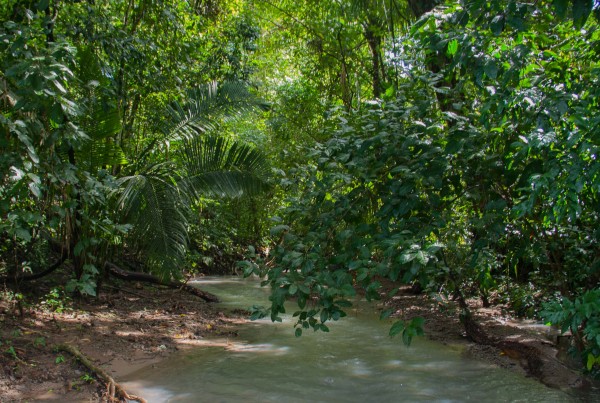 Costa Rica-Manuel Antonio-reisroute-Nationaal Park